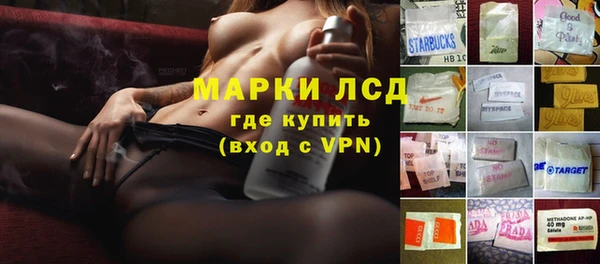 индика Белокуриха