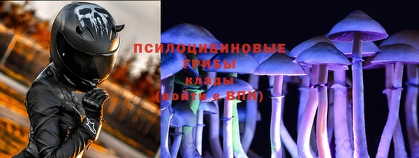 шишки Белоозёрский