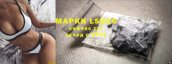 шишки Белоозёрский