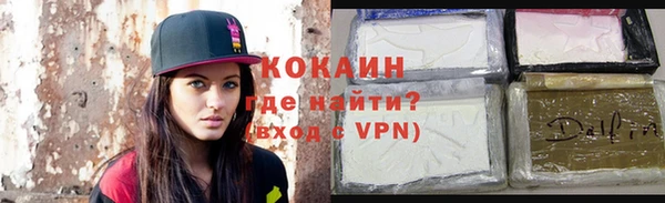 шишки Белоозёрский