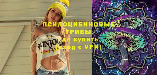 индика Белокуриха