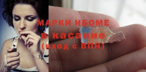 шишки Белоозёрский