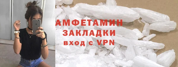 индика Белокуриха
