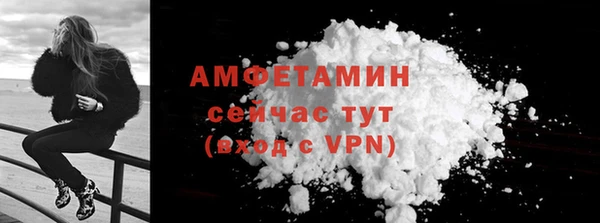 индика Белокуриха