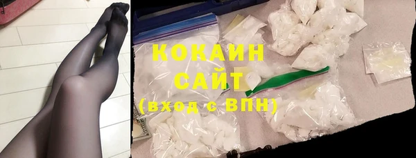 индика Белокуриха