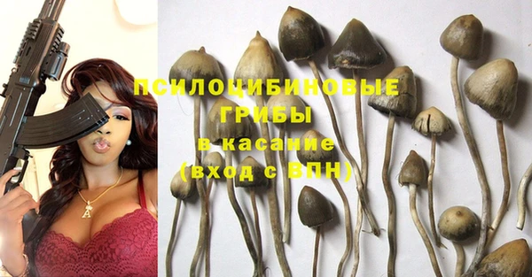 стафф Усолье-Сибирское