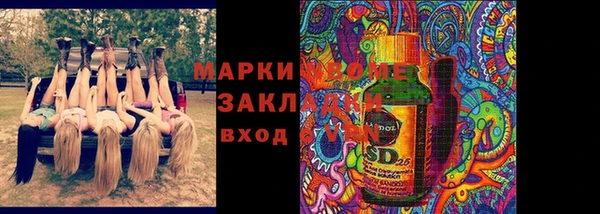 шишки Белоозёрский