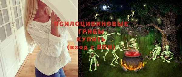 индика Белокуриха