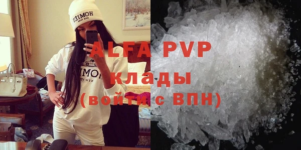 индика Белокуриха