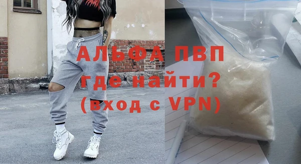 индика Белокуриха