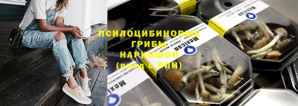 индика Белокуриха
