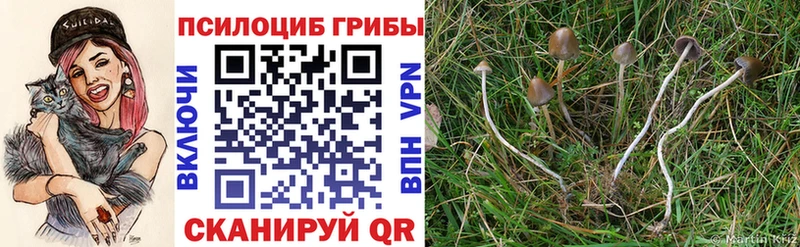 Галлюциногенные грибы прущие грибы  продажа наркотиков  Первомайск 